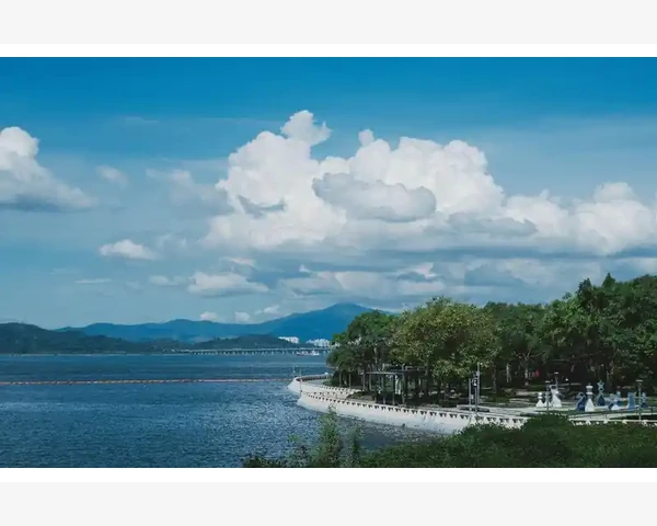 去除脾胃湿气，健康从此不同