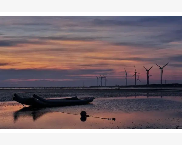 三伏贴：寻找最佳穴位 极致舒缓身心，提高免疫力
