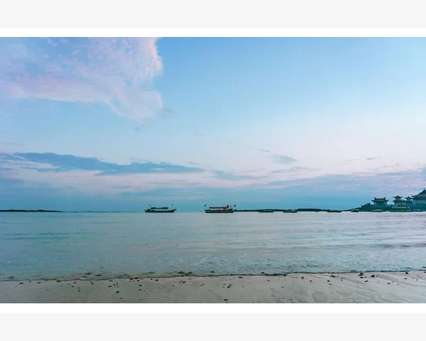 蒲公英化痰止咳糖浆：缓解咳嗽，提升呼吸健康的中医秘方